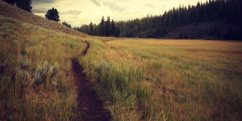 MPLS在SD-WAN时代的演进：揭秘混合组网方案与网络技术未来