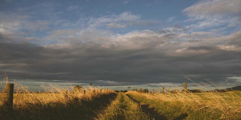 Wi-Fi 6/6E技术解析：高密度场景性能优化与企业级部署实战指南