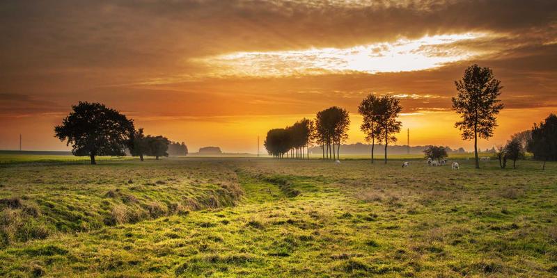 Wi-Fi 6E与Wi-Fi 7核心技术解析：重塑企业无线局域网的性能与体验