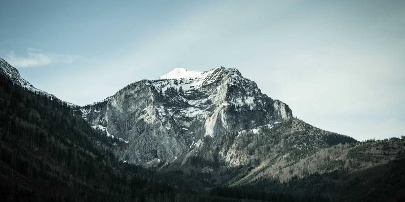 意图驱动网络（IDN）实战指南：从业务意图到自动化配置的IT知识与编程教程
