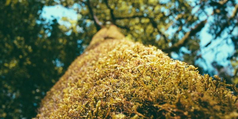 时间敏感网络（TSN）：重塑工业互联网的数字资源与网络技术基石