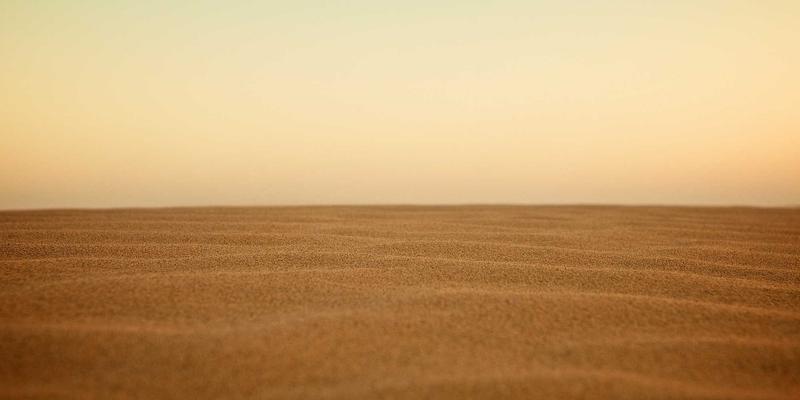 编程教程与技术分享:解锁优质软件资源的完整指南