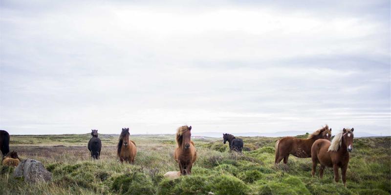 网络功能虚拟化（NFV）在电信云中的实践：从编程教程到性能优化挑战