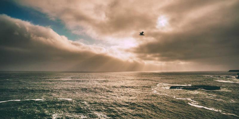 网络功能虚拟化（NFV）实践指南：电信运营商转型的核心网络技术与开发工具