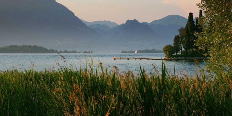 网络即服务（NaaS）的兴起：如何借助现代开发工具与IT知识简化企业网络运营与成本