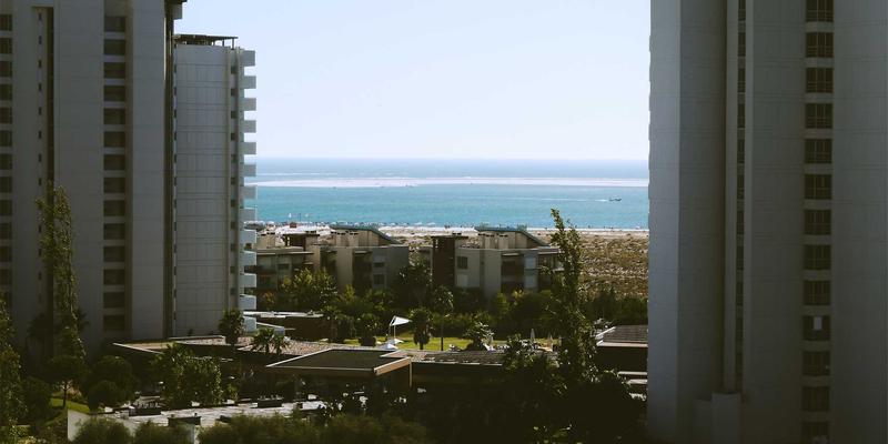 网络技术21:从编程教程到数字资源,开启高效技术学习之旅