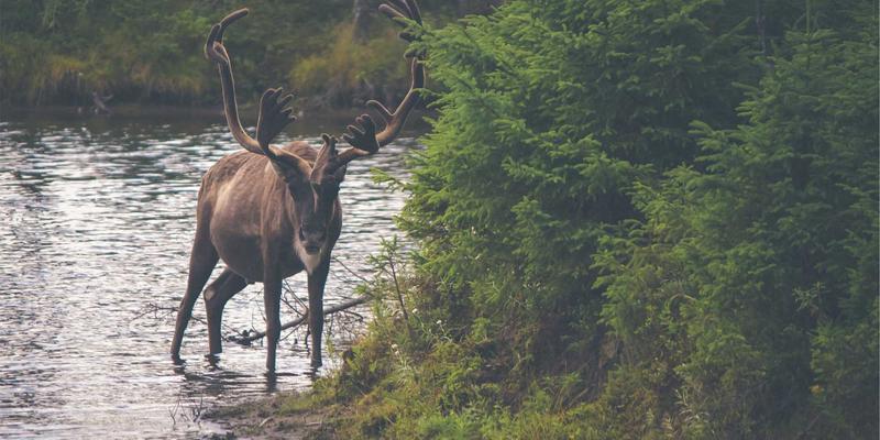 网络技术5：解锁数字资源价值的技术分享新范式