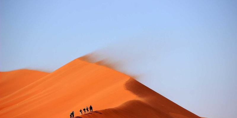 网络技术67：开发工具与数字资源如何重塑编程学习生态