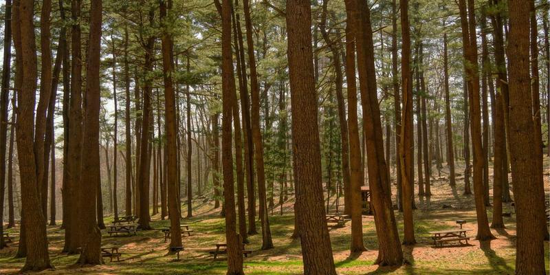 网络技术79：精选开发工具、软件资源与编程教程全攻略