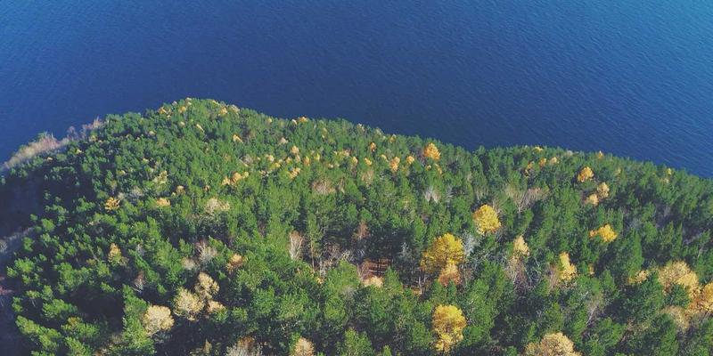 网络技术98：解锁软件资源与数字宝藏的技术分享指南