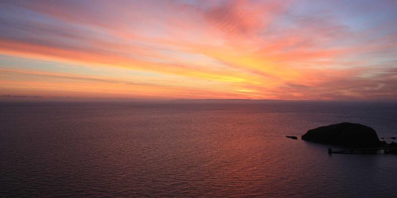 网络自动化与编排：解锁大型数据中心效率革命的IT知识与开发工具