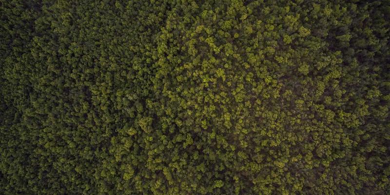 边缘计算与5G融合：构建下一代低延迟网络基础设施的关键路径