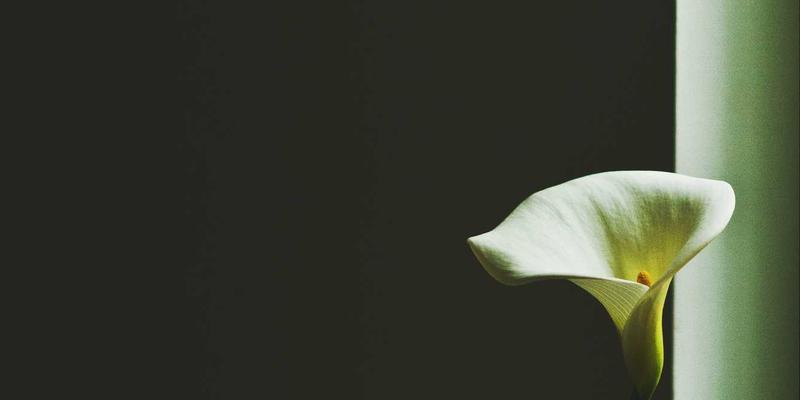 零信任网络架构（ZTNA）实战指南：超越VPN的下一代安全访问模型